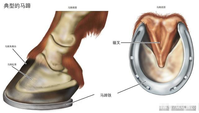 微信截图_20211009115629.png