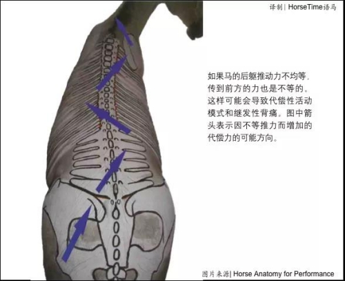 WPS图片-修改尺寸(5).jpg