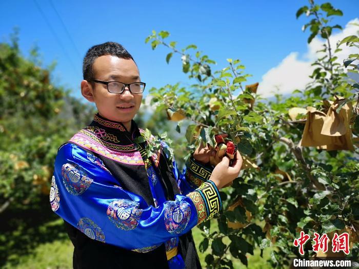 玉米地“化身”千亩果园：高原“花果山”助村民脱贫致富