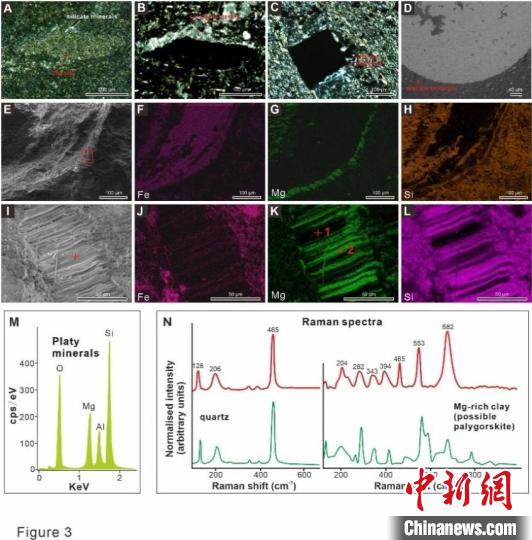 中国科学家发现六亿年前丘尔藻特异保存机制