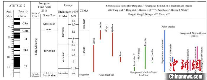 晚中新世早期亚欧大陆三趾马地史与地理分布。　中科院古脊椎所 供图