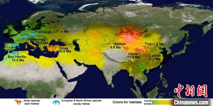 晚中新世早期亚欧大陆三趾马动物地理与生态环境。　中科院古脊椎所 供图