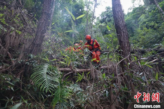 福建龙岩：4名村民进山迷路失联森林消防紧急搜救