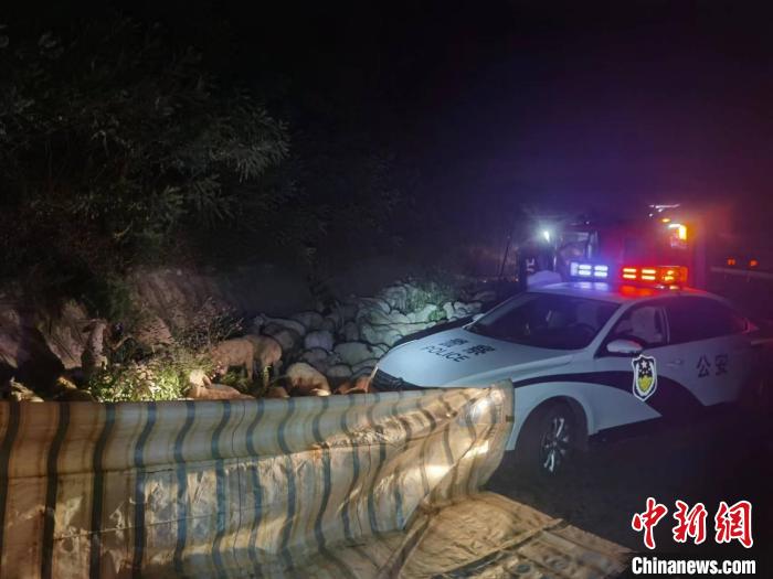 载有489只羊的货车侧翻山西高速交警急搭“羊圈”