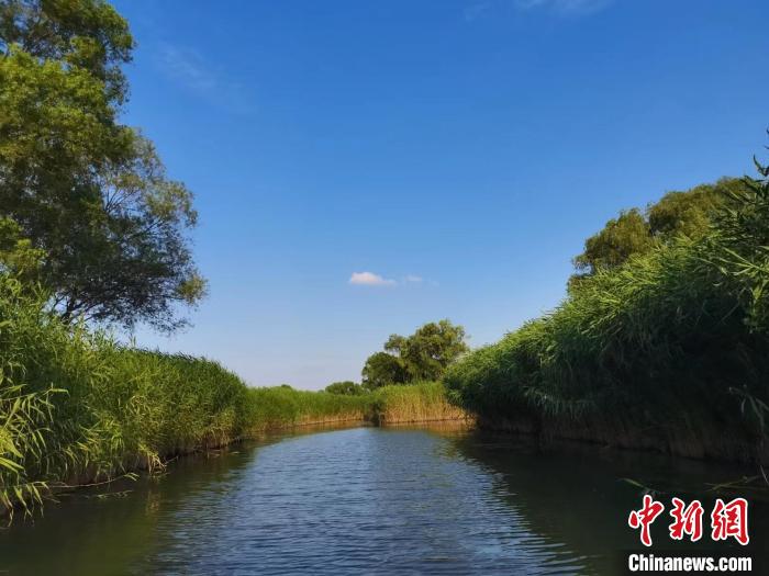 里下河地区湿地美景。　顾名筛 摄