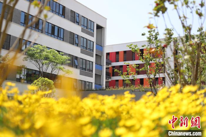 长兴县华盛达实验学校的校园风景 华盛达实验学校 供图