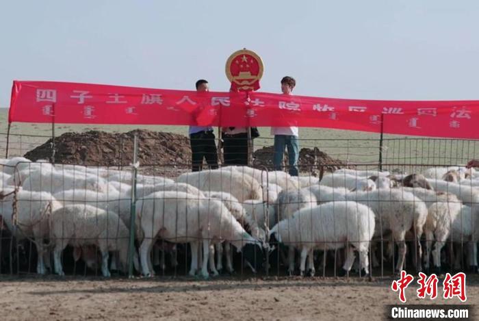 《法官你好》开播讲述基层法官故事传递中国司法温度