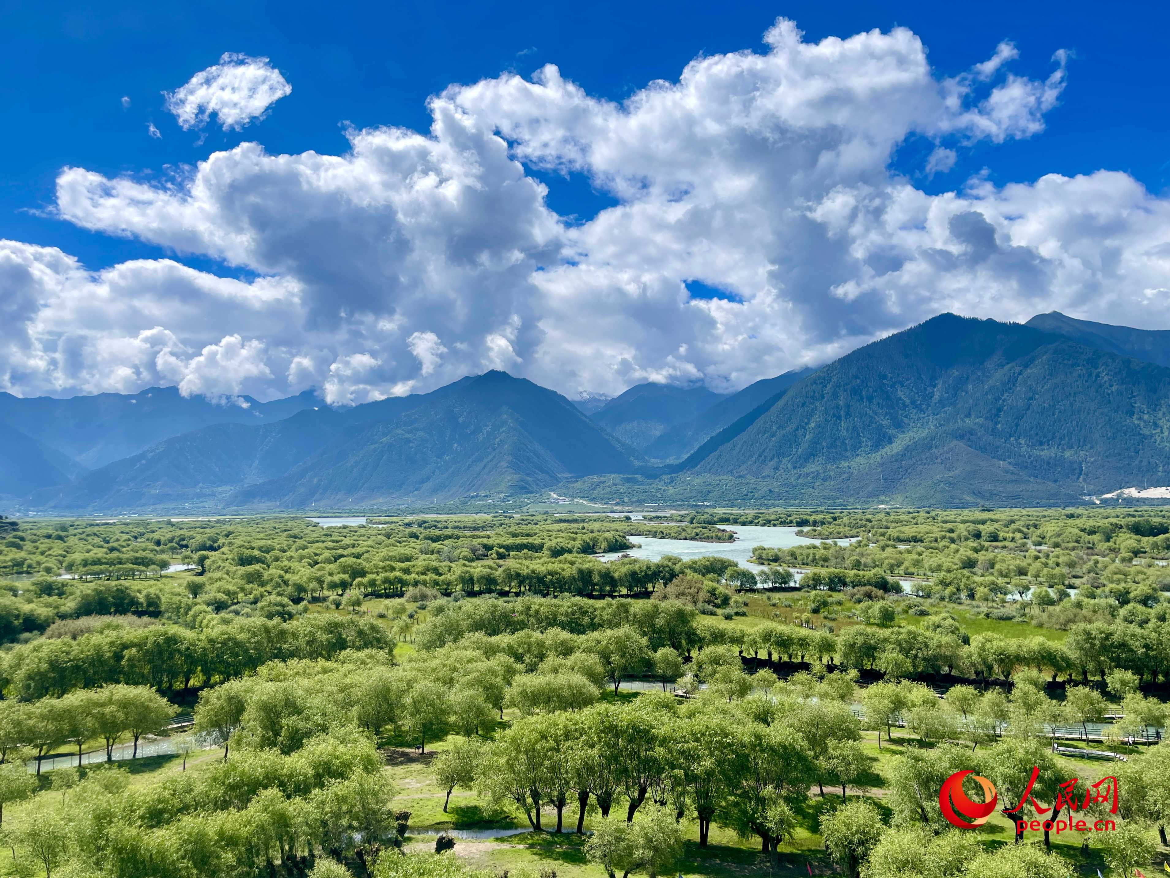 夏日的雅尼国家湿地公园生机盎然，如诗如画。人民网 周静圆摄